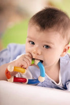 Color Snake Clutching Toy by HABA 3