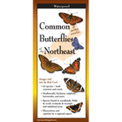 Common Butterflies of the Northeast by Earth Sky Water