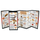 Common Mushrooms of the Northeast by Earth Sky Water 1