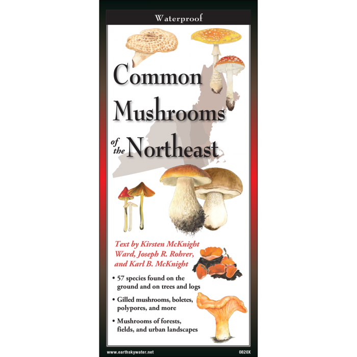 Common Mushrooms of the Northeast by Earth Sky Water