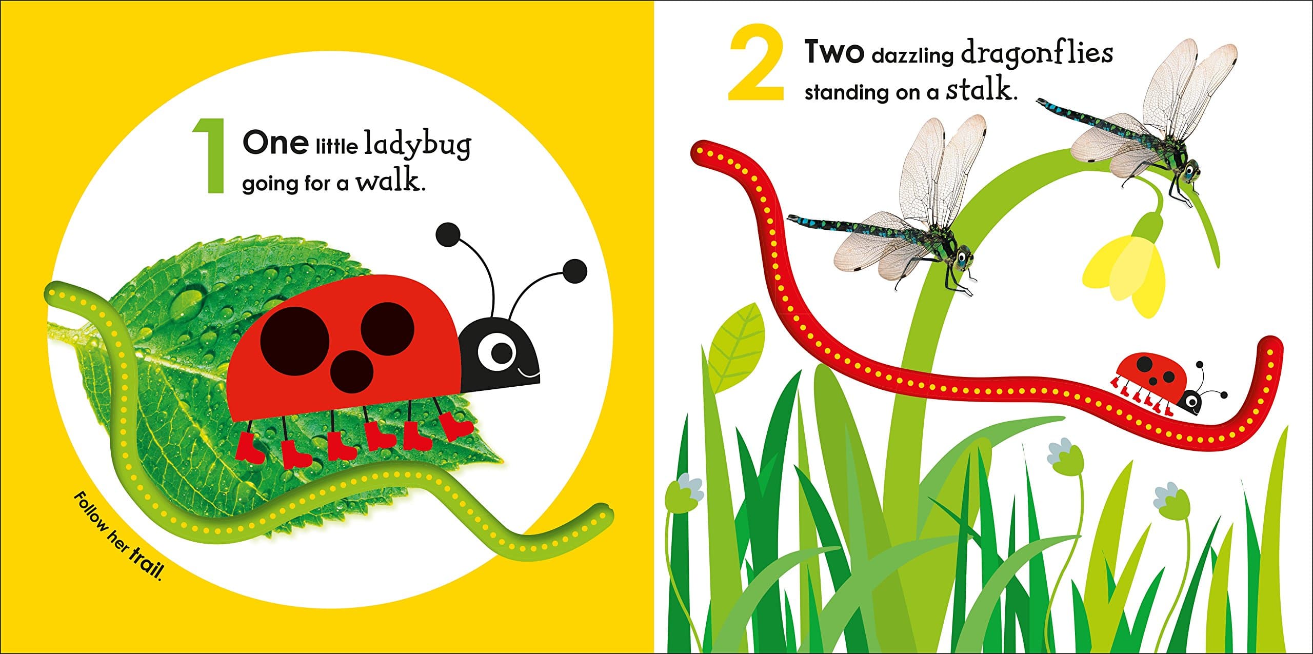 Counting with a Ladybug by DK Publishing 1