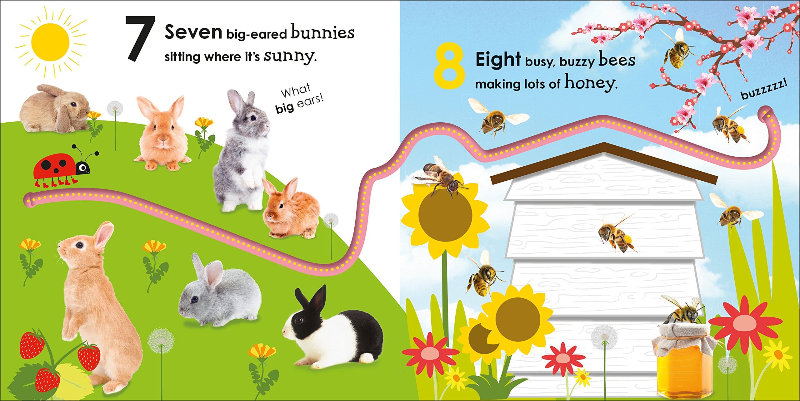 Counting with a Ladybug by DK Publishing 2