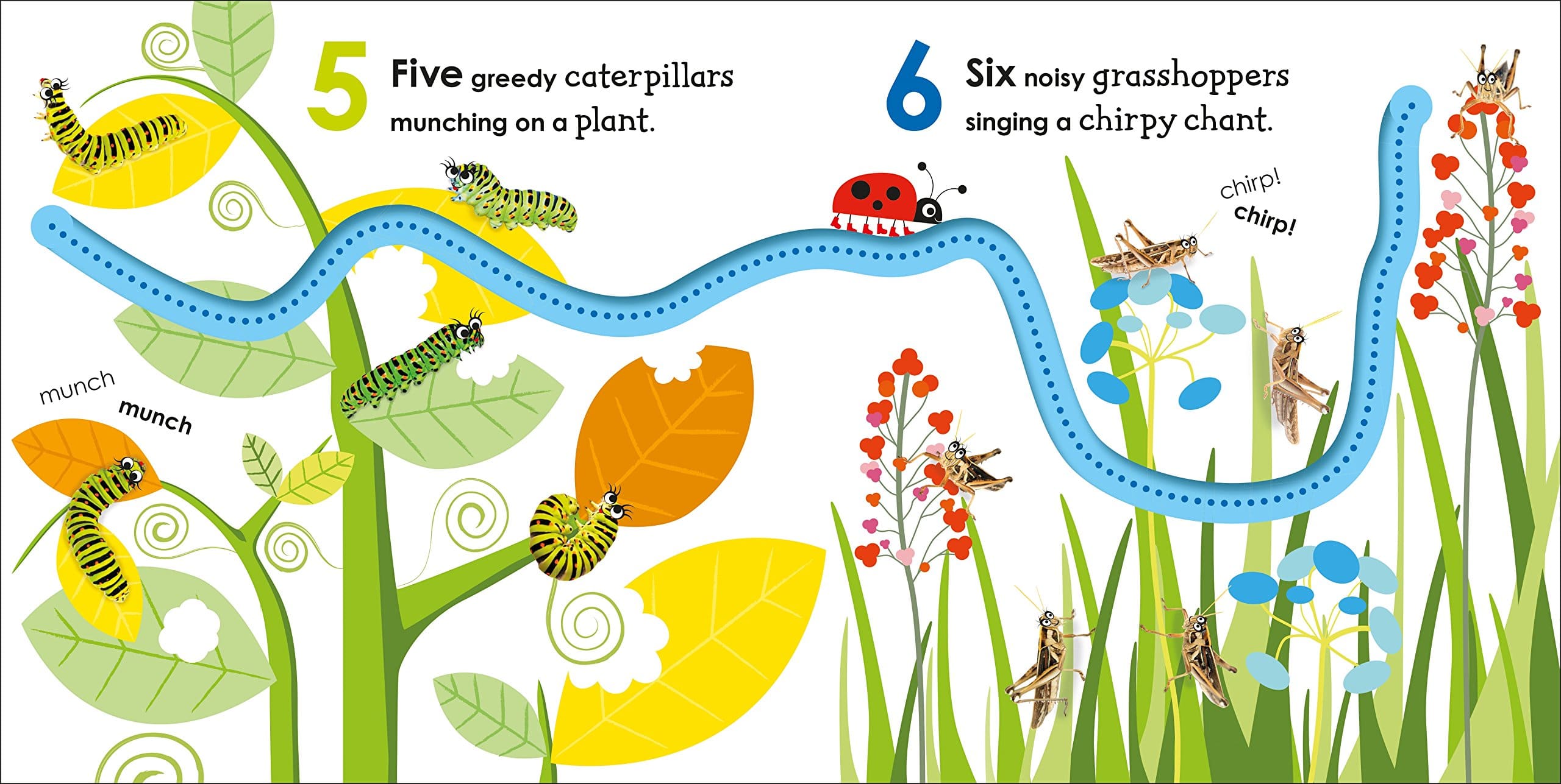 Counting with a Ladybug by DK Publishing 3
