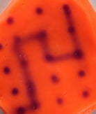 Crypitc Code Thinking Putty Ghostwriters Series by Crazy Aarons 2