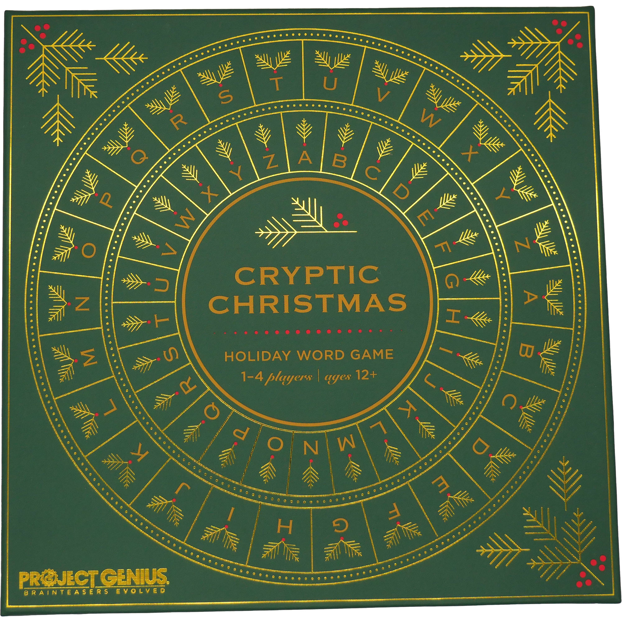Cryptic Christmas-by-Project Genius