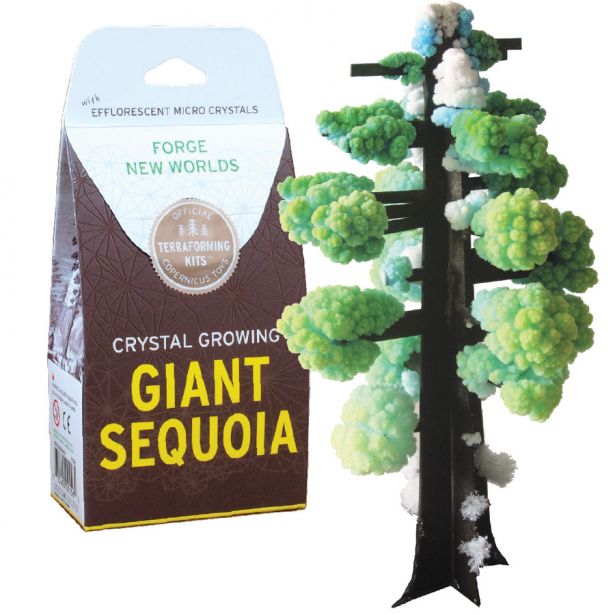 Crystal Growing Giant Sequoia by Copernicus
