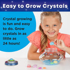 Crystal Space Terrarium Kit by Creativity for Kids 4