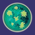 DIY Glowing Squishy Slime by Creativity For Kids 6