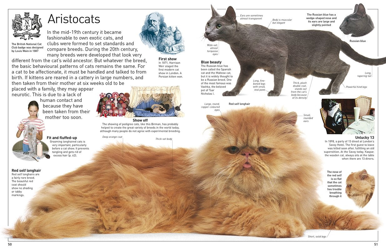 DK Eyewitness Books Cat by Dorling Kindersley 3