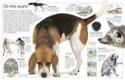 DK Eyewitness Books Dog by Dorling Kindersley 1