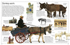 DK Eyewitness Books Horse by Dorling Kindersley 2