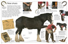 DK Eyewitness Books Horse by Dorling Kindersley 3