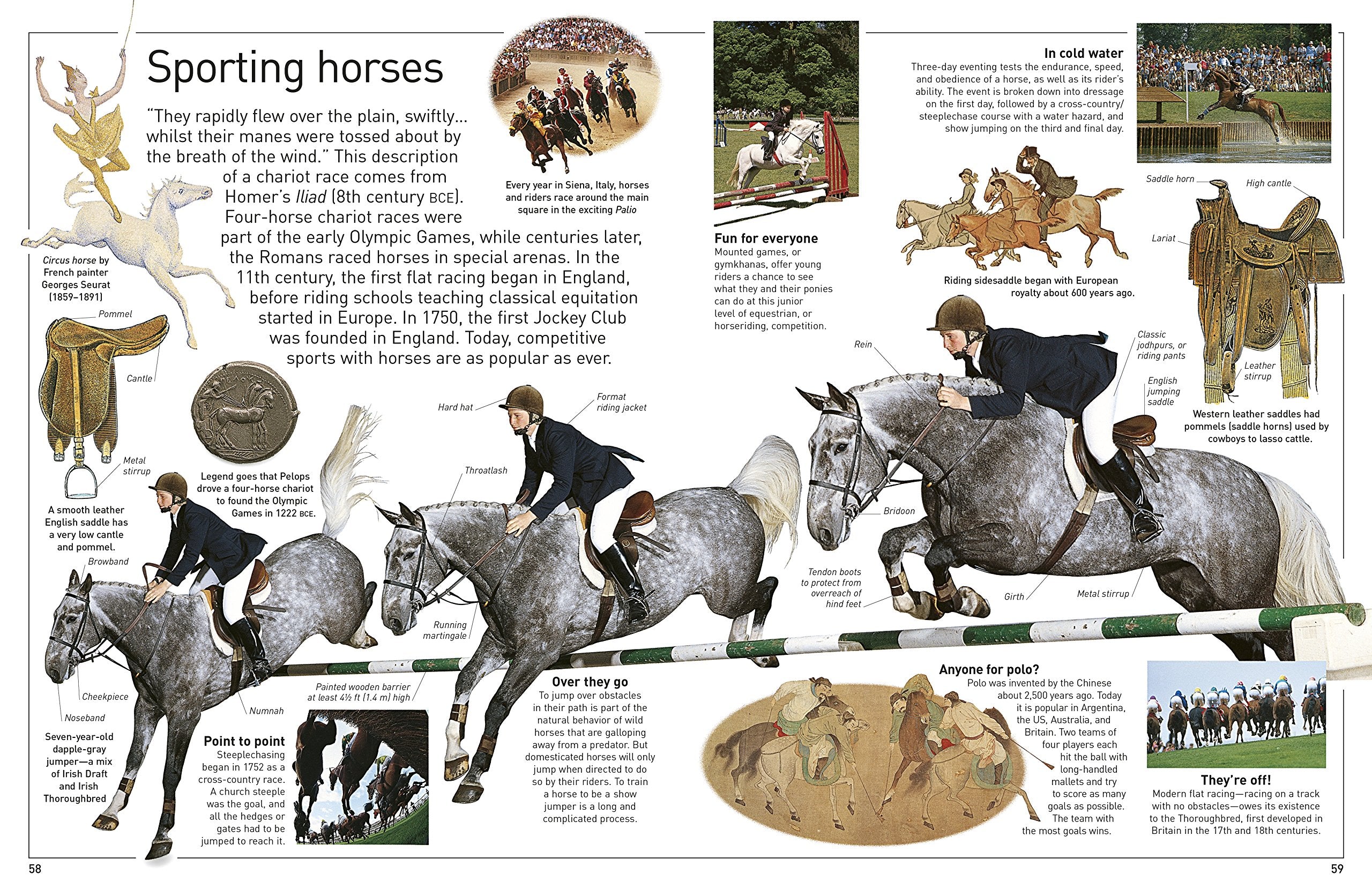DK Eyewitness Books Horse by Dorling Kindersley 4