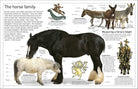 DK Eyewitness Books Horse by Dorling Kindersley 5