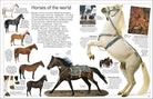 DK Eyewitness Books Horse by Dorling Kindersley 7