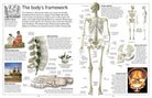 DK Eyewitness Books Human Body by Dorling Kindersley 1