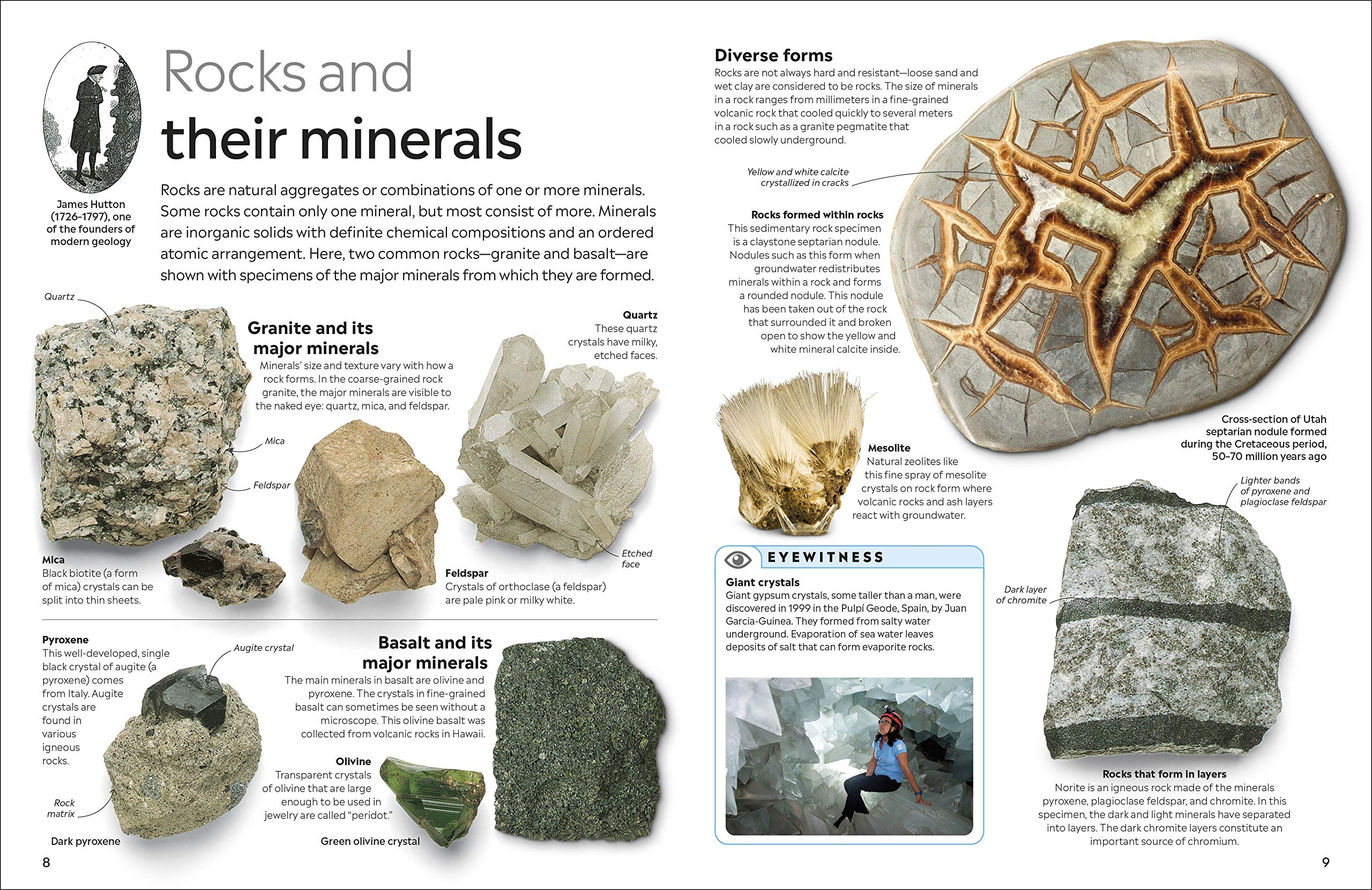 DK Eyewitness Books Rocks and Minerals by Dorling Kindersley 2