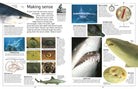 DK Eyewitness Books Shark by Dorling Kindersley 1