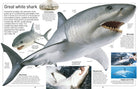 DK Eyewitness Books Shark by Dorling Kindersley 2