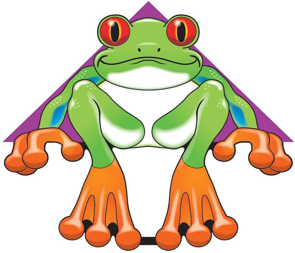 Delta XT Kite 54 inches by WindNSun 4