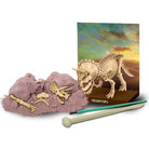 Dig A Dino Series 1 by Toysmith 1