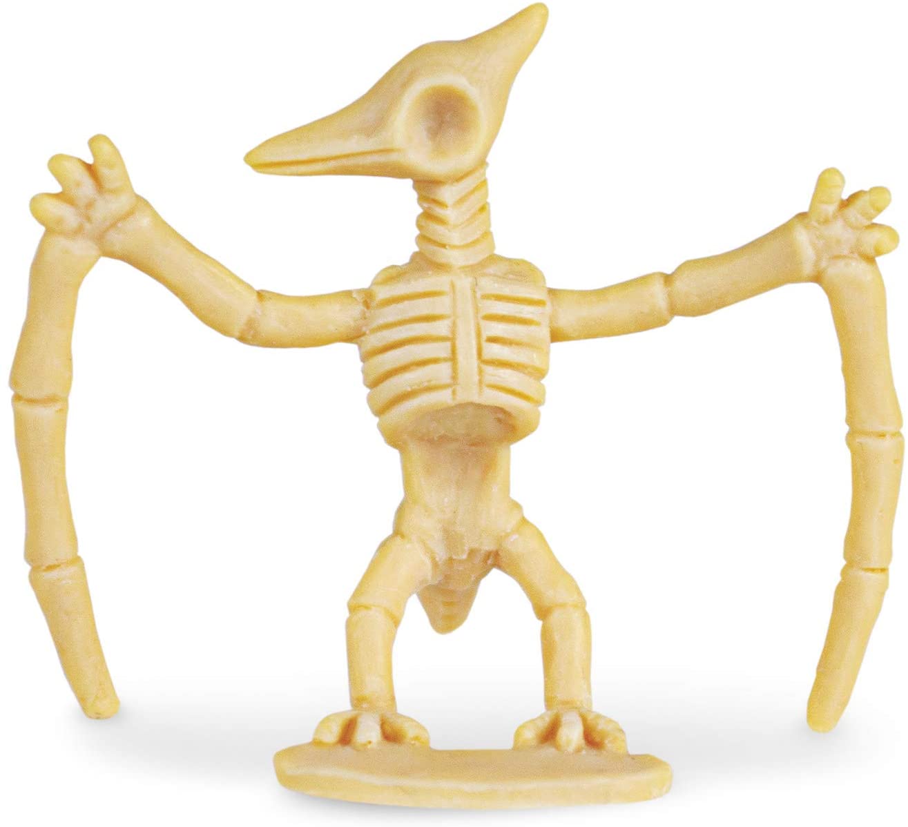 Dig It Up Dinosaur Skeletons by MindWare 2