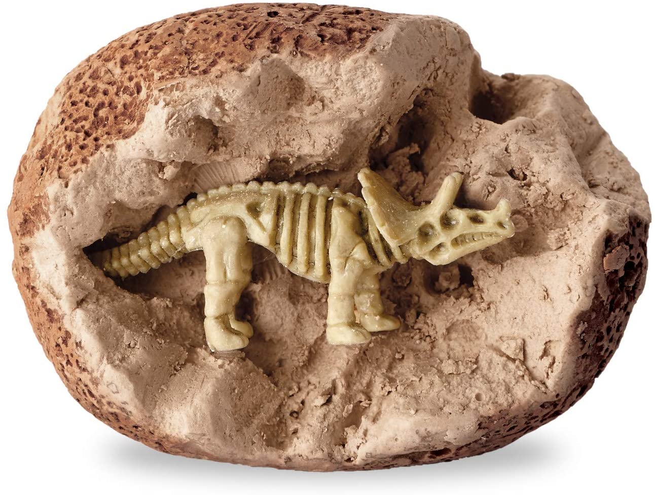 Dig It Up Dinosaur Skeletons by MindWare 4