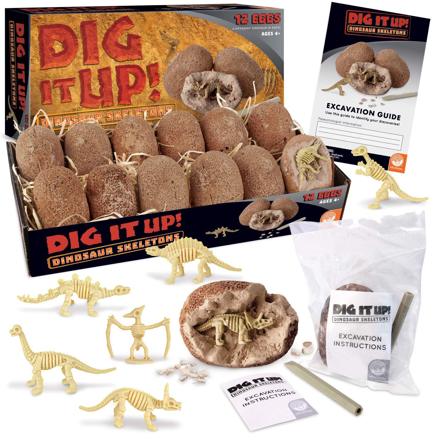 Dig It Up Dinosaur Skeletons by MindWare