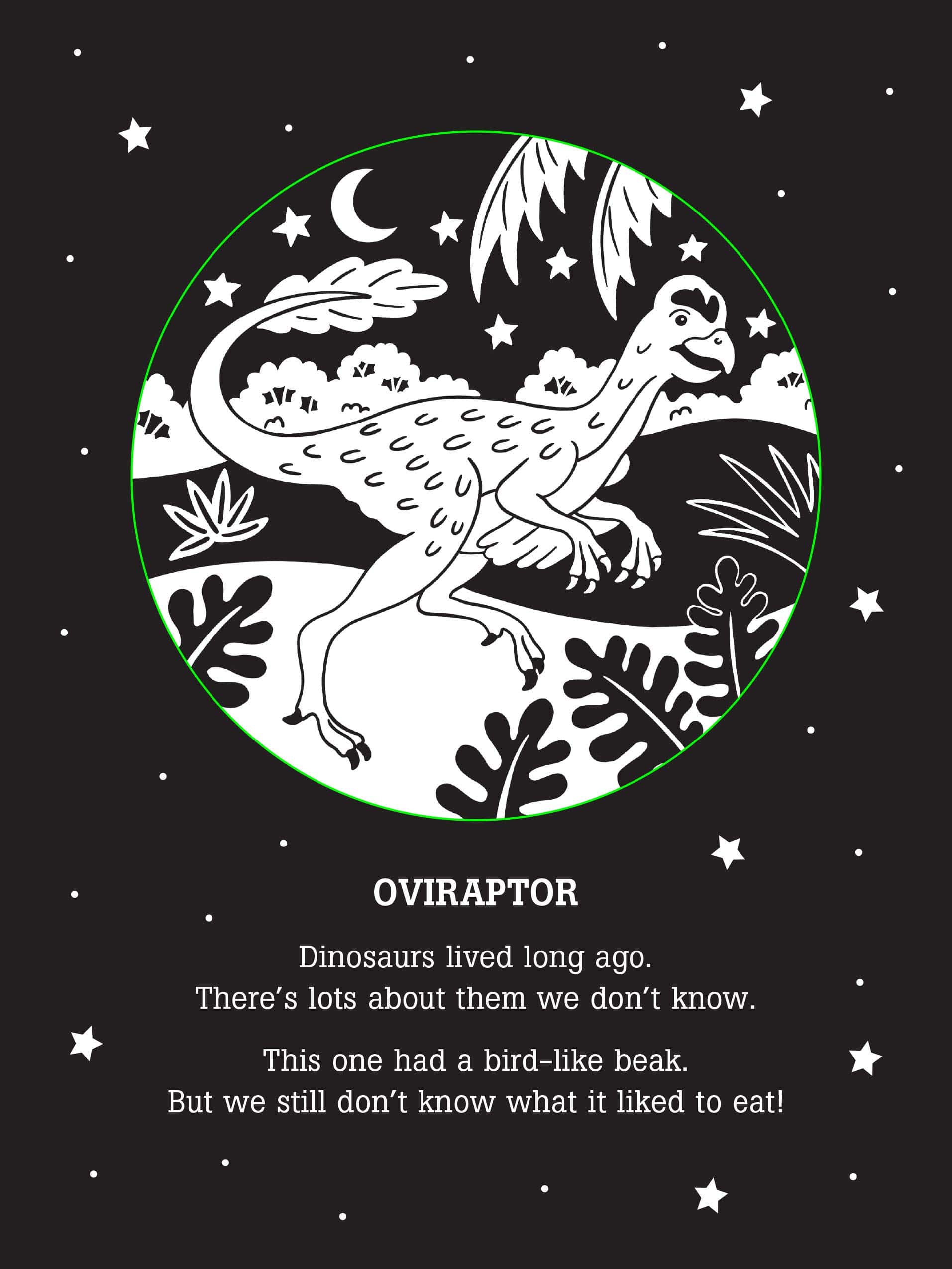 Dinos After Dark Bedtime Shadow Book by Peter Pauper Press 1