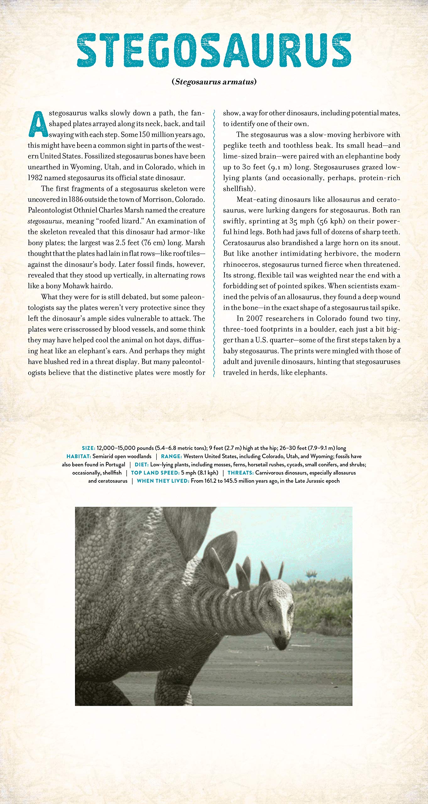 Dinosaur A Photicular Book by Workman 2