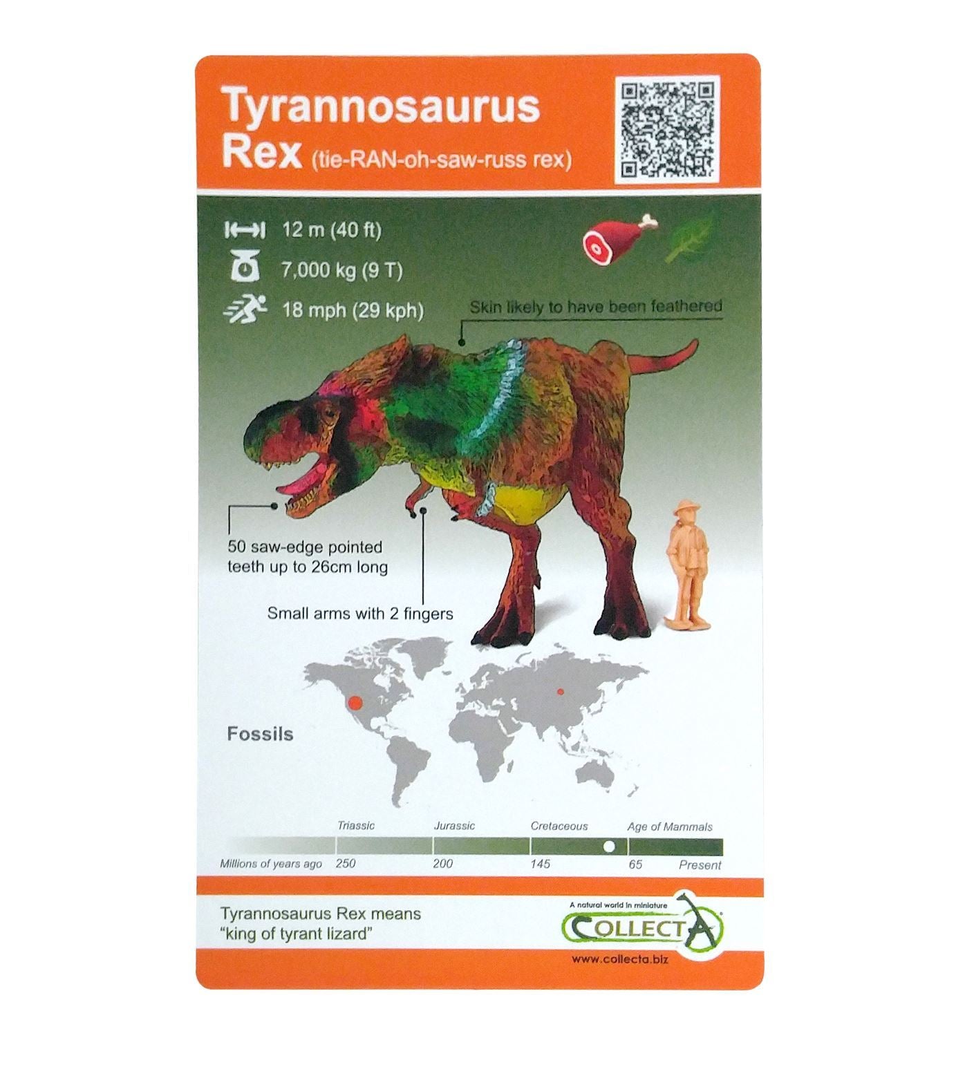 Dinosaur Blind Bag with AR Feature by Collecta 2