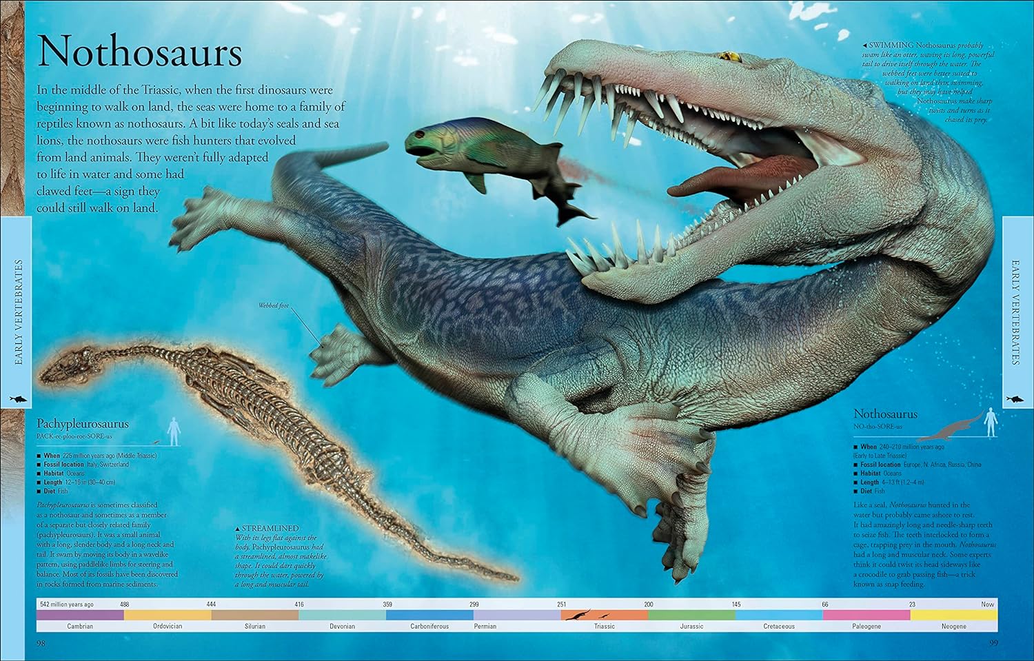 Dinosaurs: A Visual Encyclopedia – A2Z Science & Toys