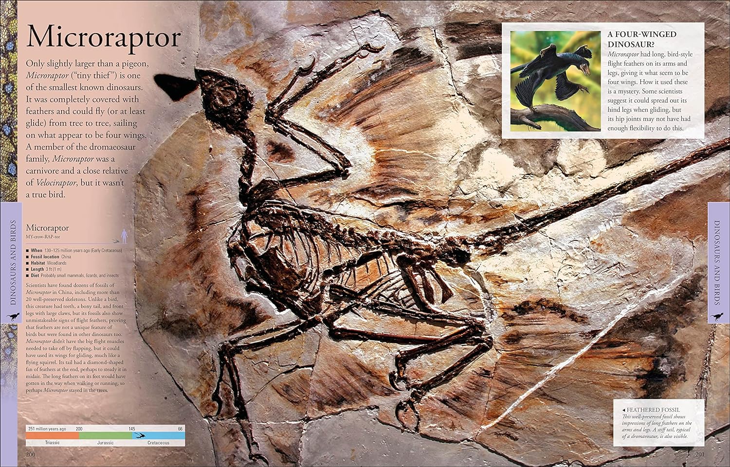 Dinosaurs: A Visual Encyclopedia – A2Z Science & Toys