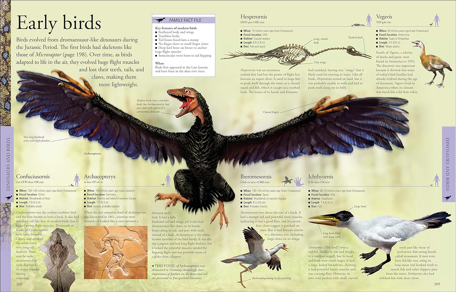 Dinosaurs: A Visual Encyclopedia – A2Z Science & Toys Dinosaurs: A Visual Encyclopedia – A2Z Science & Toys