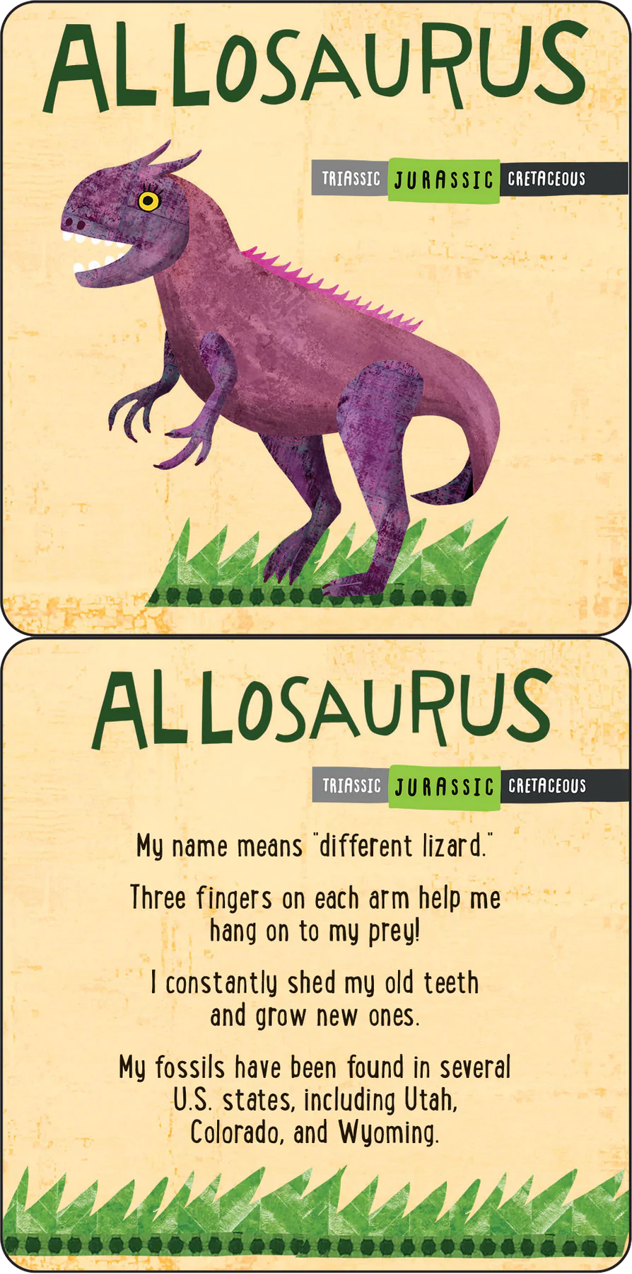 Dinosaurs Fascinating Lunch Box Notes for Kids Set of 50 Cards by Peter Pauper Press 1