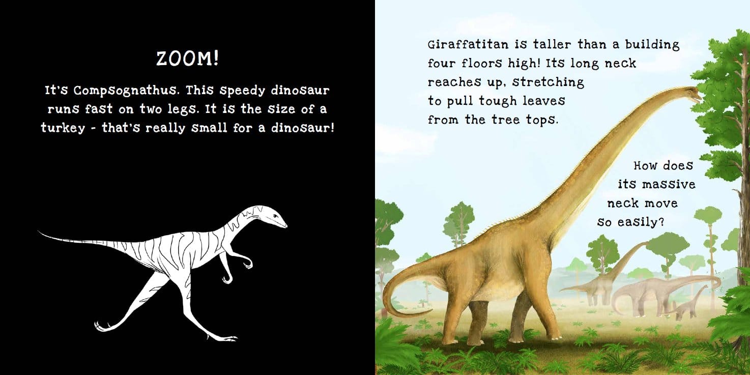 Dinosaurs Shine a Light by Kane Miller 2