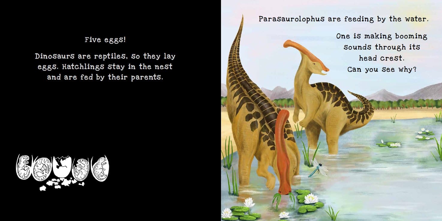 Dinosaurs Shine a Light by Kane Miller 4