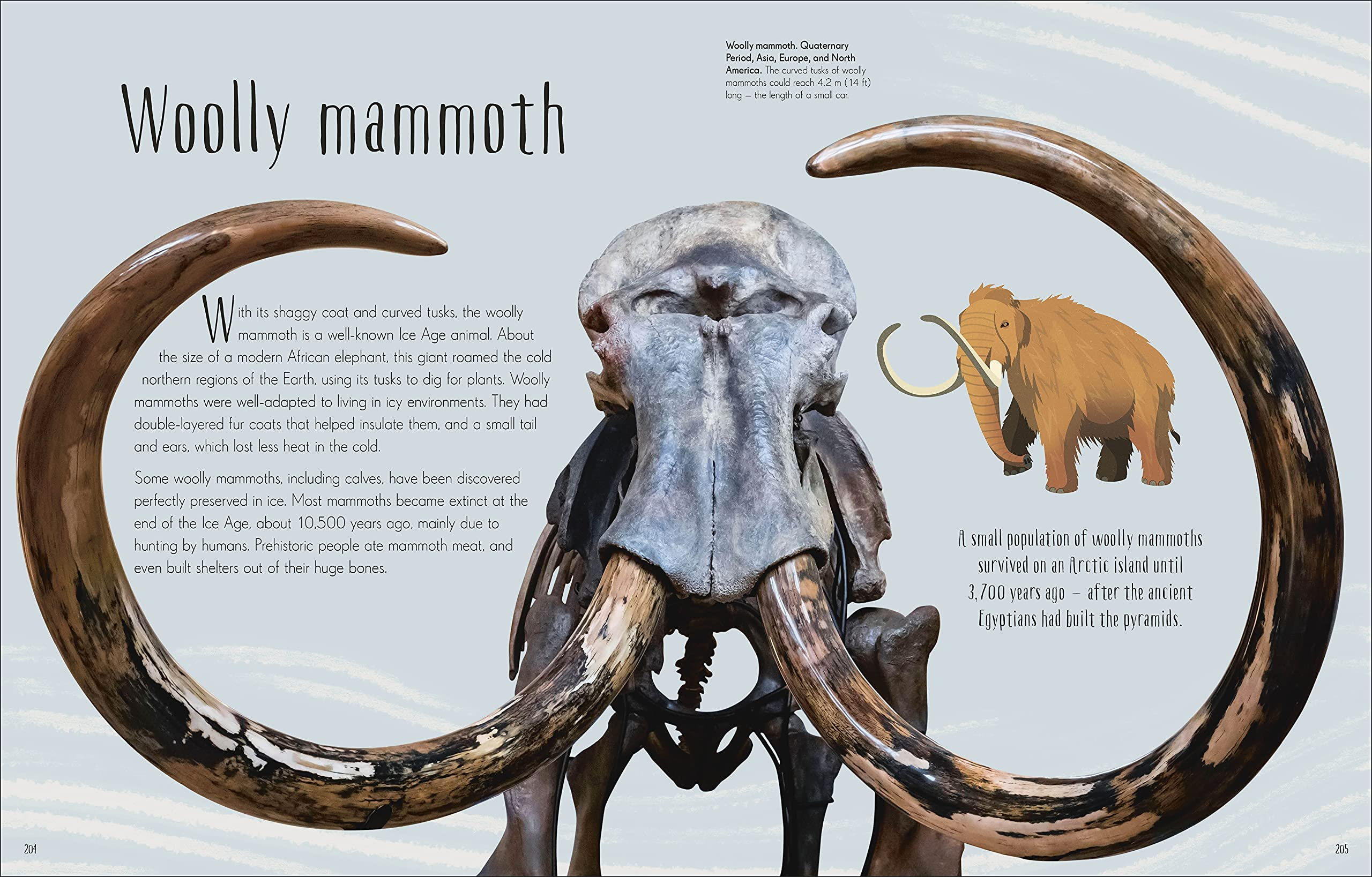 Dinosaurs and Other Prehistoric Life by Dorling Kindersley 1