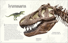 Dinosaurs and Other Prehistoric Life by Dorling Kindersley 2