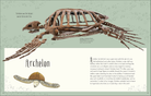 Dinosaurs and Other Prehistoric Life by Dorling Kindersley 3