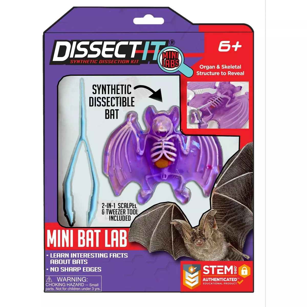 Dissect It Mini Lab - Bat-by-Top Secret Toys