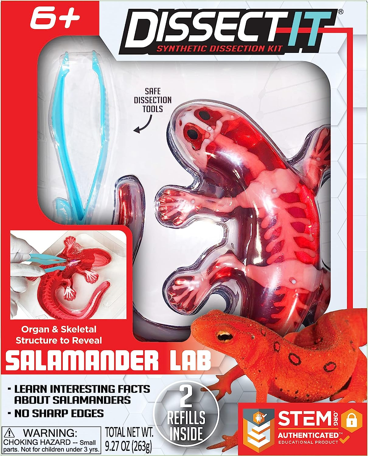 Dissect It Synthetic Salamander Lab Kit-by-Tangle Creations