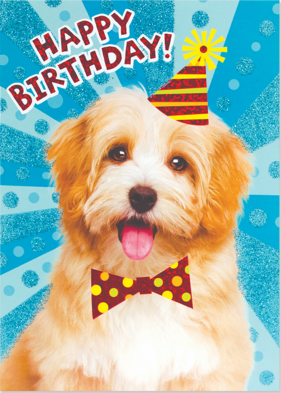 Dog with Party Hat Birthday Card-by-Peaceable Kingdom
