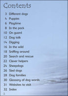 Dogs Usborne Beginners by Usborne 1