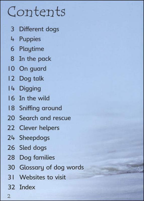 Dogs Usborne Beginners by Usborne 1