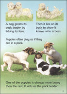 Dogs Usborne Beginners by Usborne 2