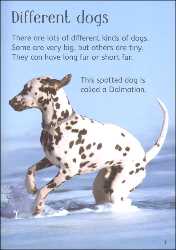 Dogs Usborne Beginners by Usborne 4