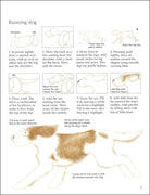 Drawing Animals by Usborne 3
