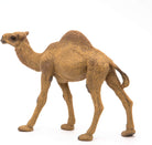 Dromedary Camel Figure by Papo 2