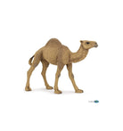 Dromedary Camel by Papo